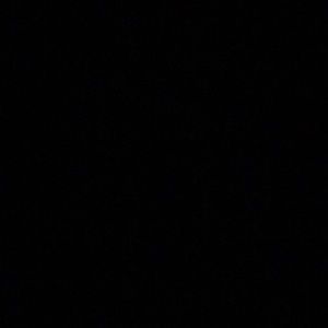 Meet your Posher, Wesley